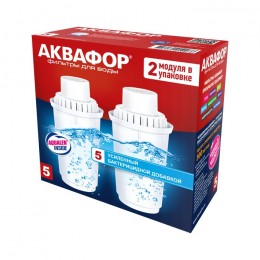 Сменный модуль В5 (В100-5) защита от бактерий (комплект из 2-х штук) в Рязани